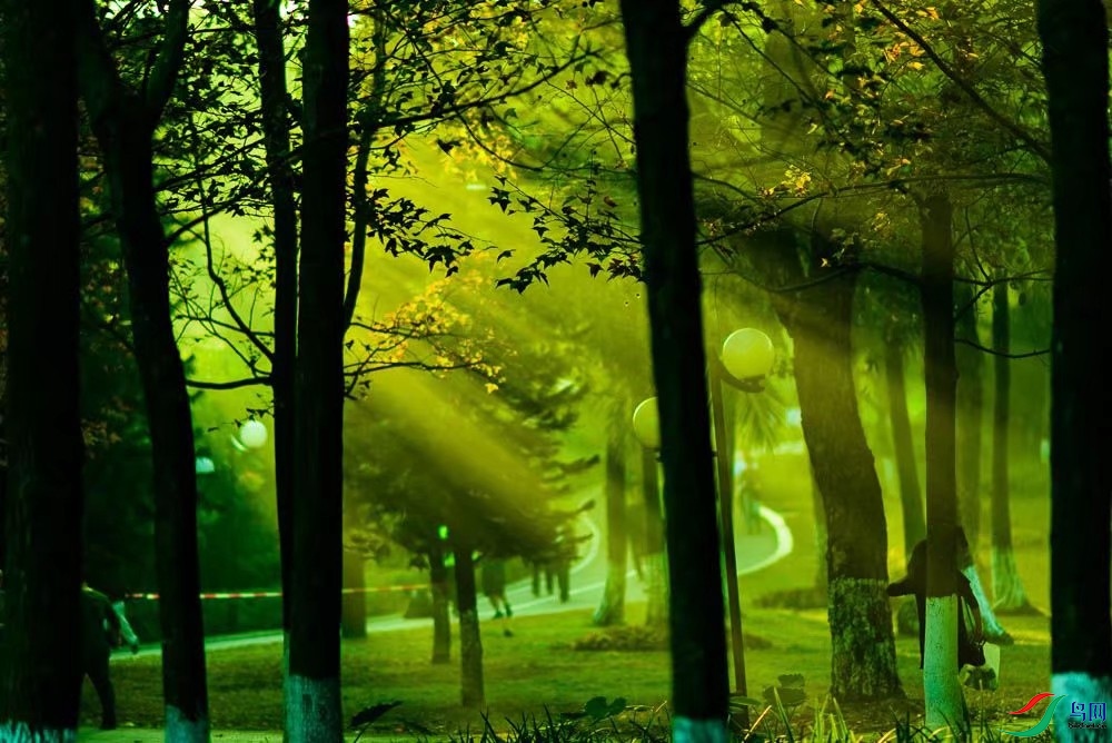 ���㹫԰��԰�峿