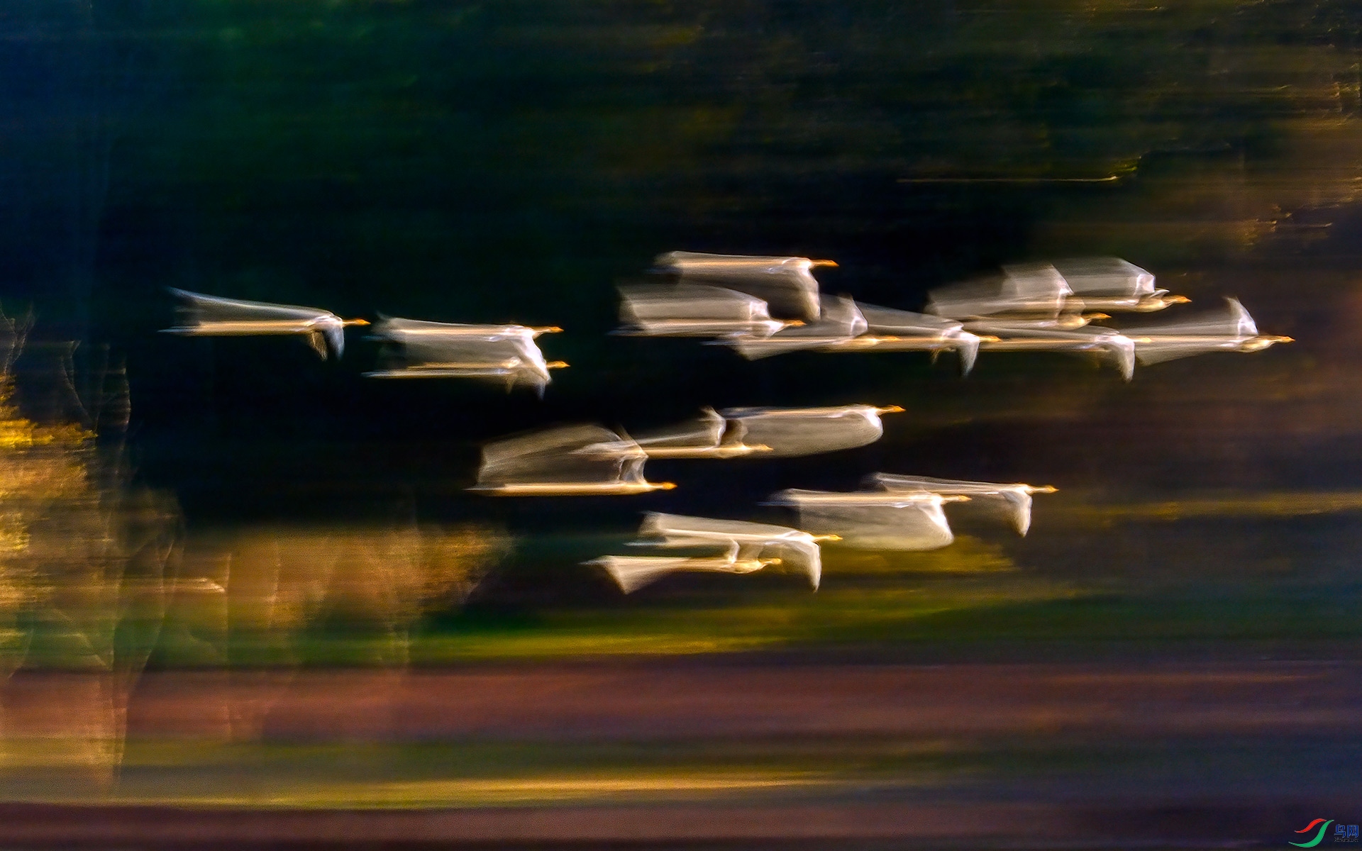 _B170356s.jpg