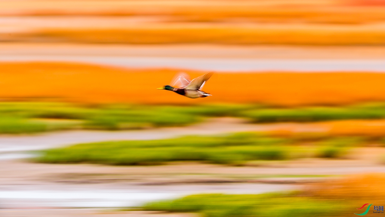 DSC_2136.jpg