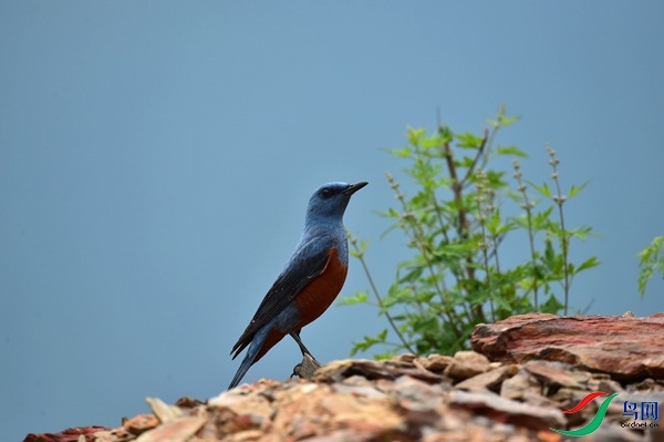 File0000051199.jpg