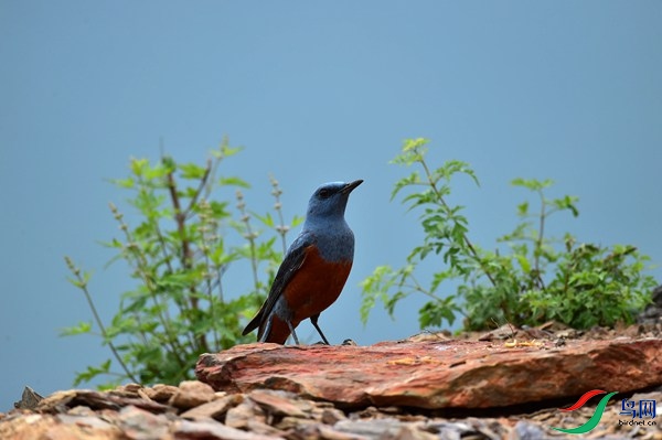 File0000051218.jpg