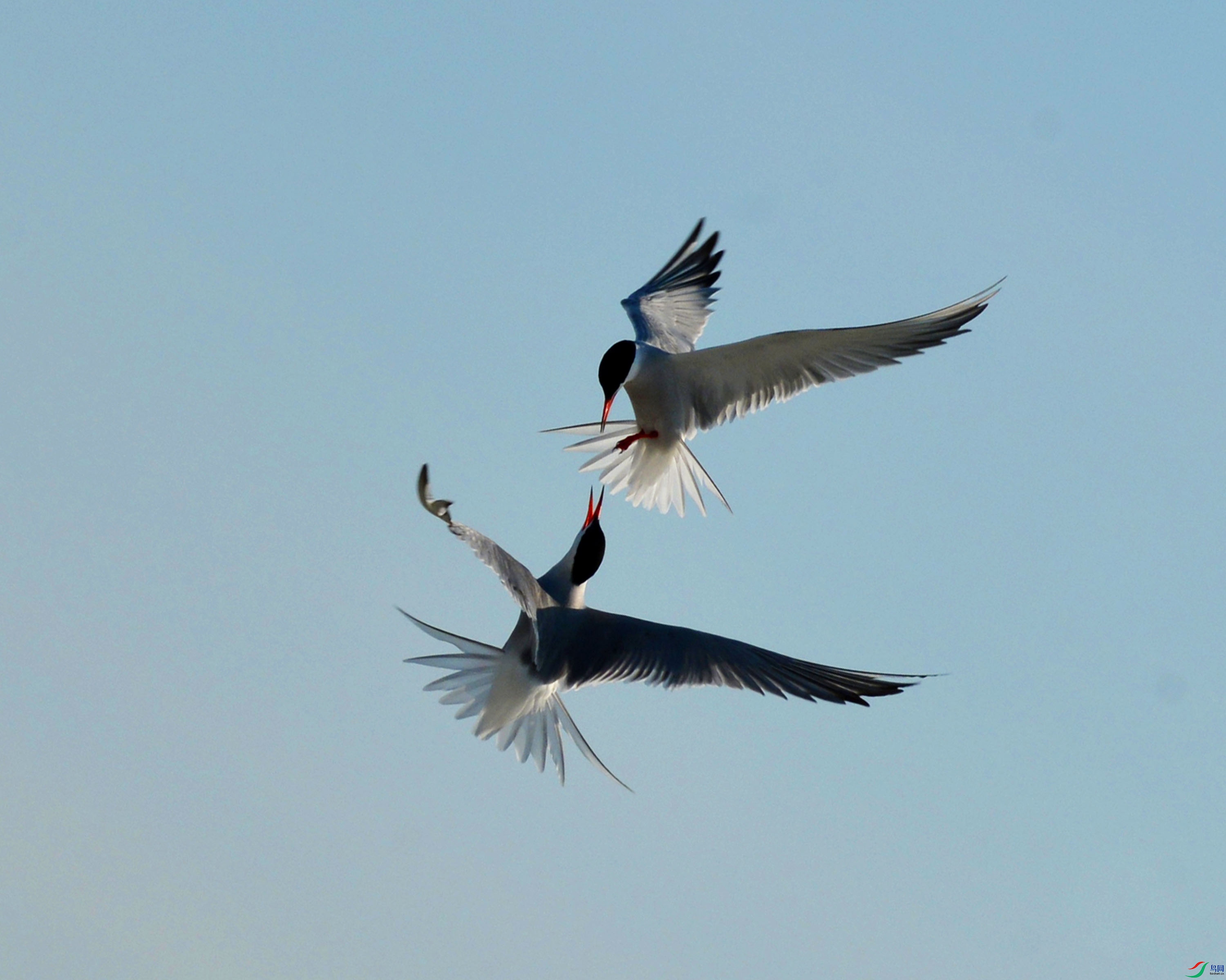 _HYJ4662 - ����.jpg