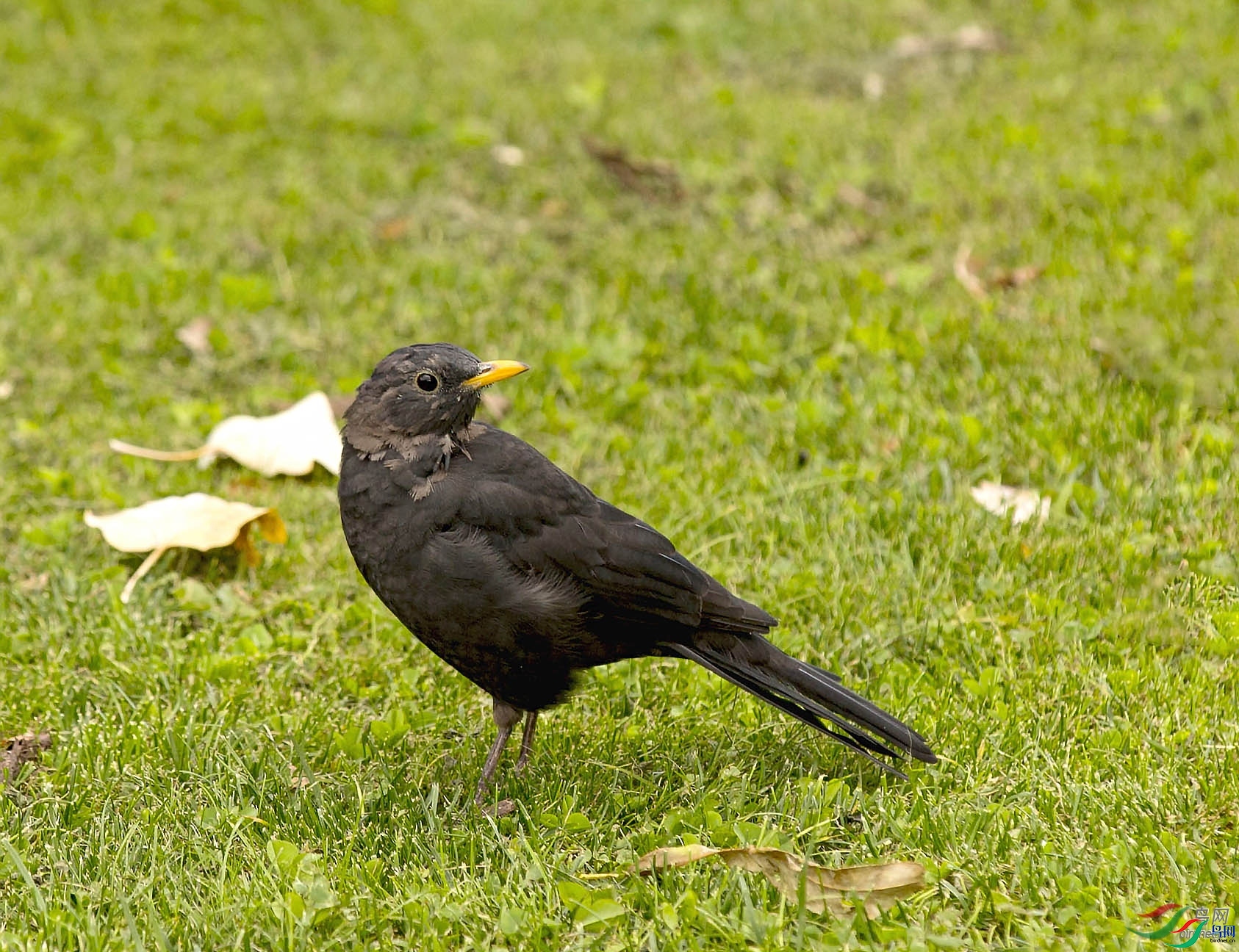 0529  ��ʦ����������������������.jpg