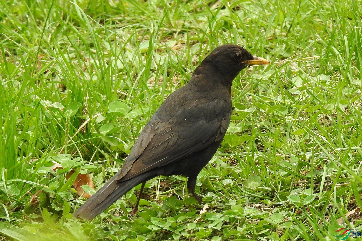 �ѵú�Ϳ8103  ��ʦ����������������������0.jpg