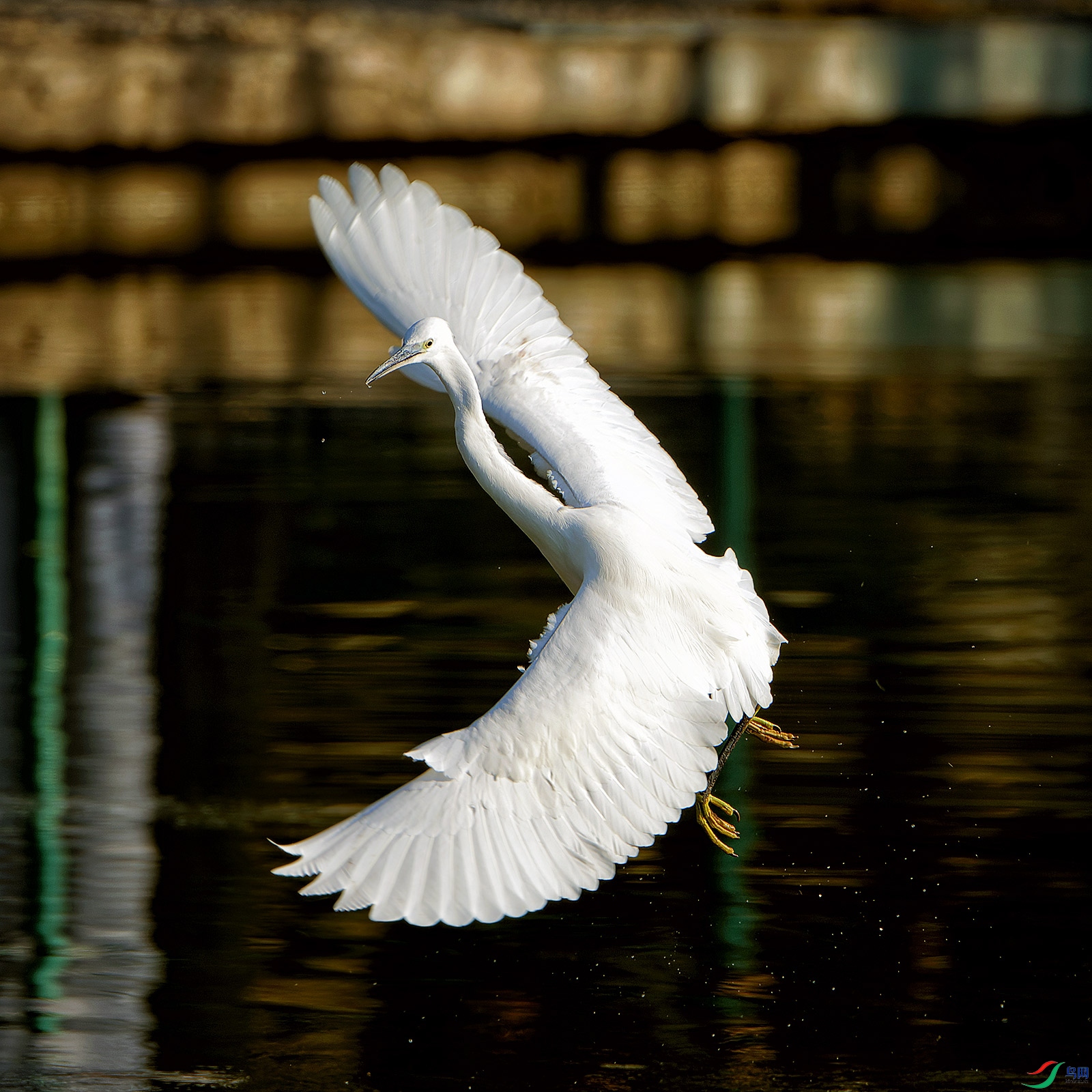 DSC_5224.jpg