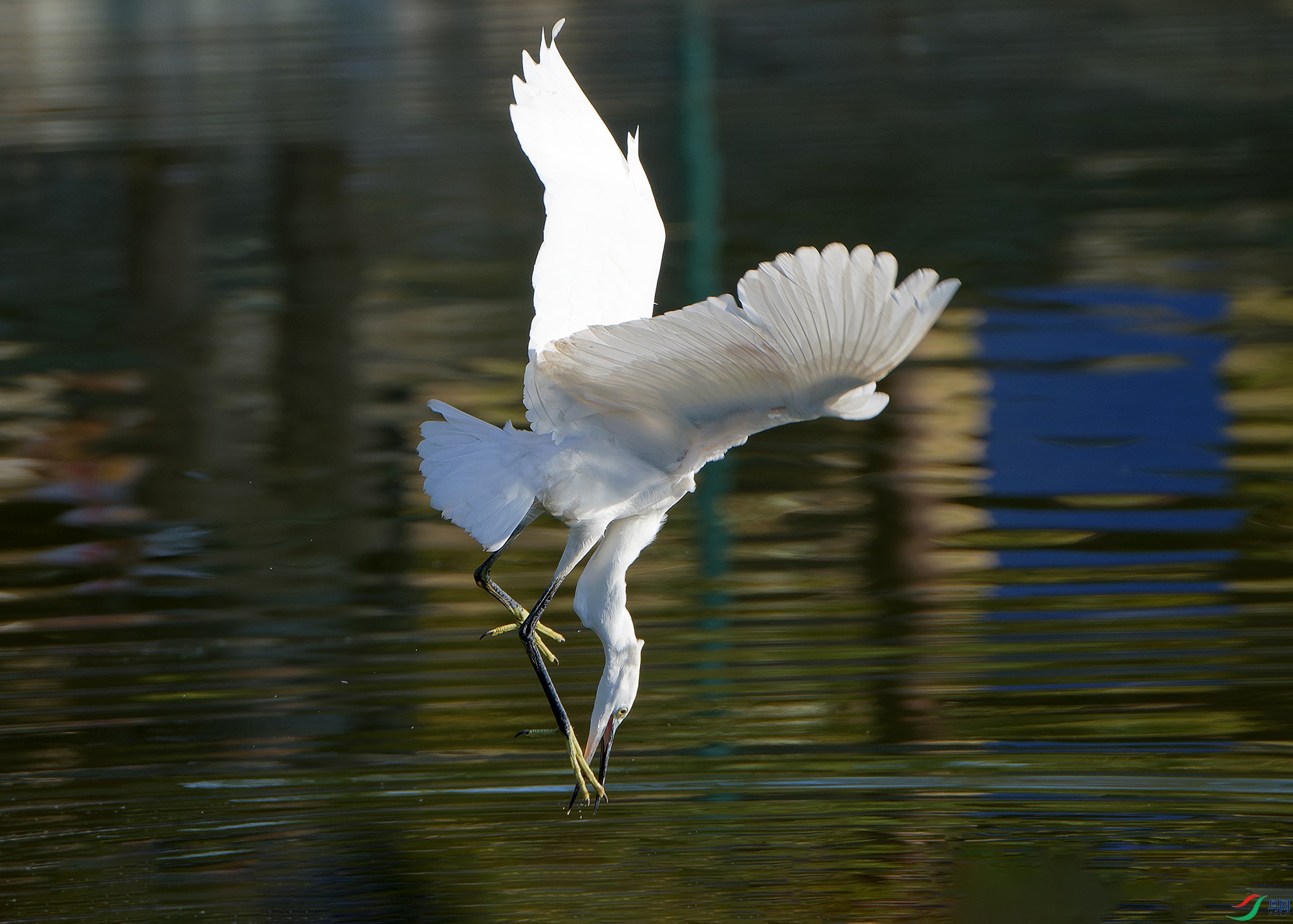 DSC_5532.jpg