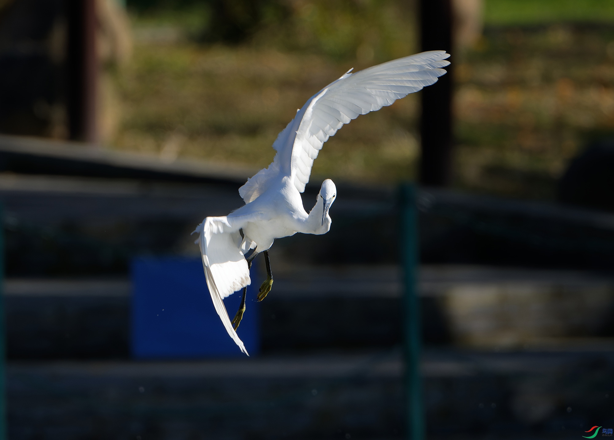 DSC_5501.jpg
