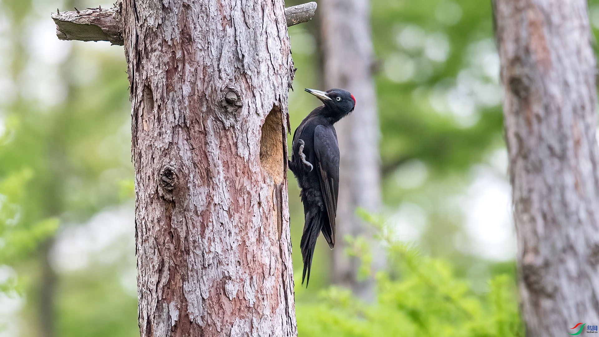 1DX_3440 ����.jpg