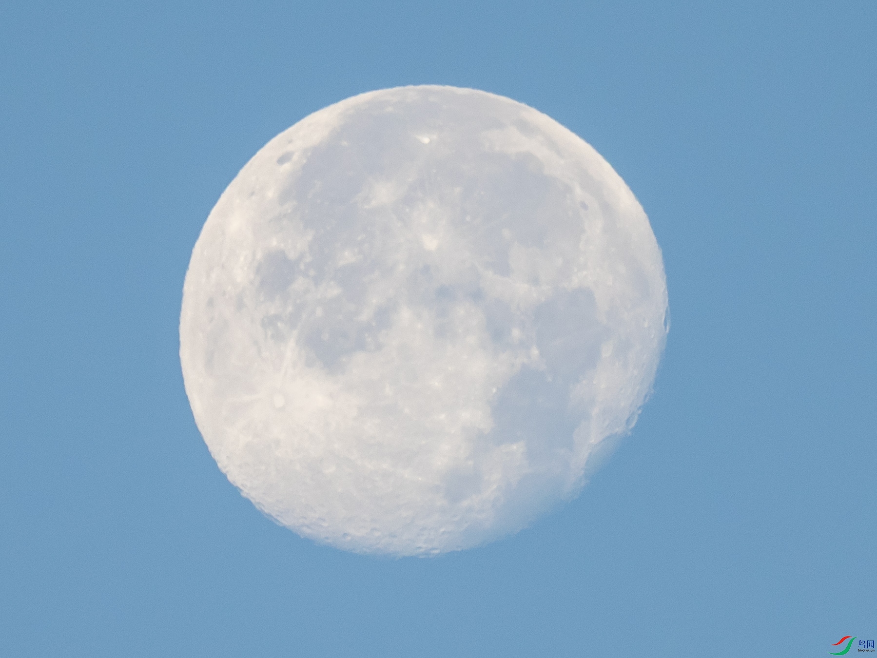 ��̫���������