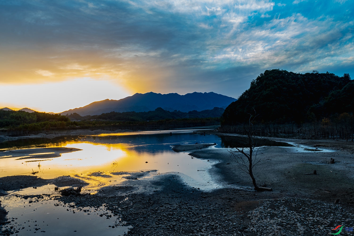 DSC_5340-2.jpg