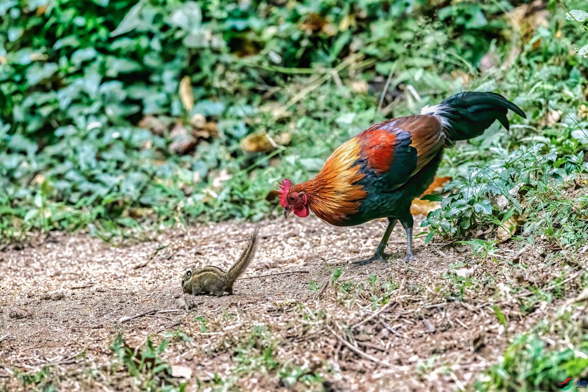 DSC_3899-1.jpg