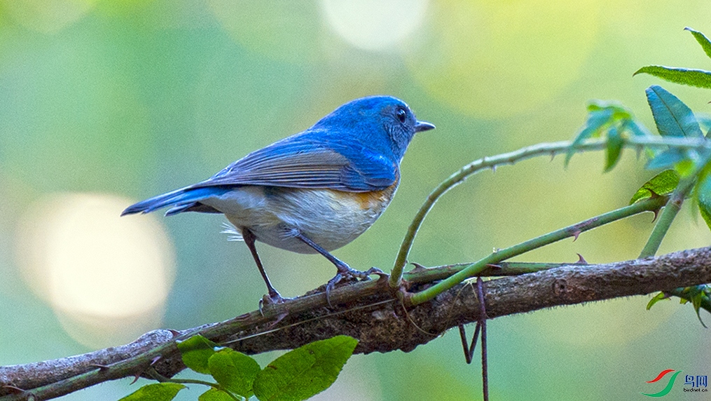 ��LPY_6478.jpg
