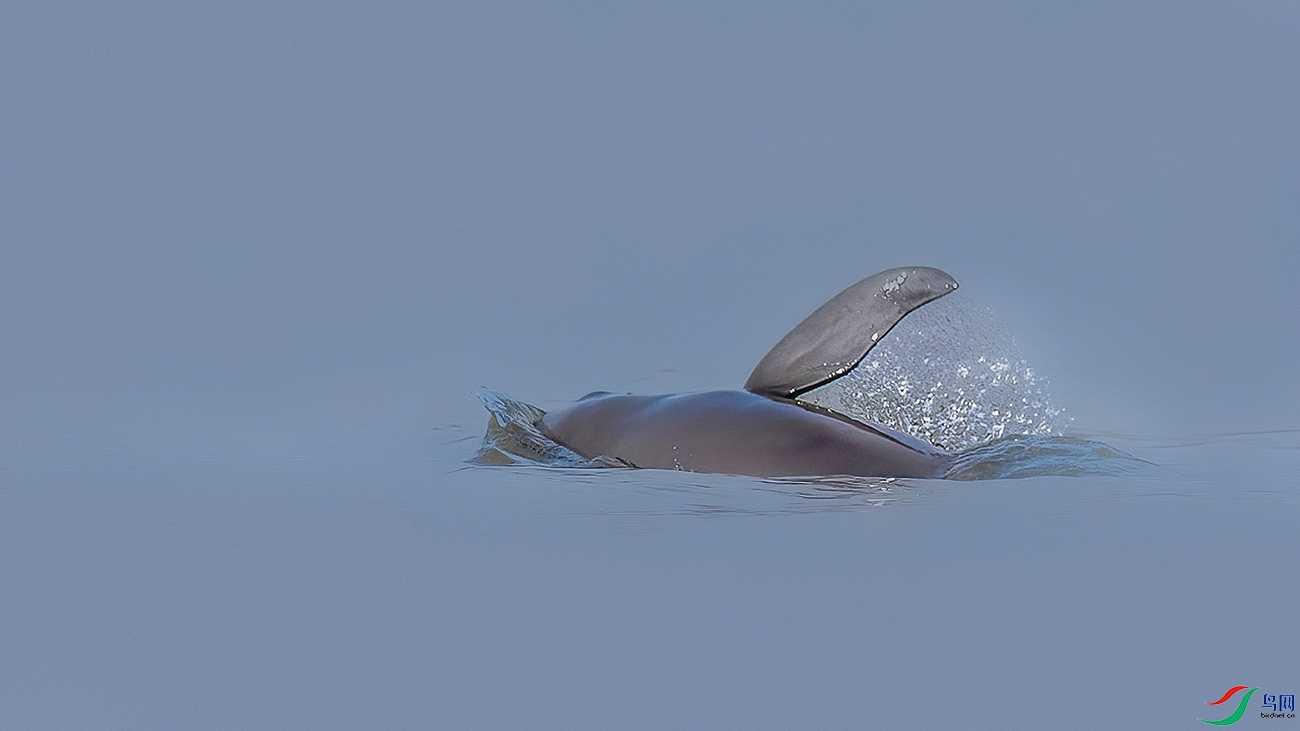 DSC_1152.jpg