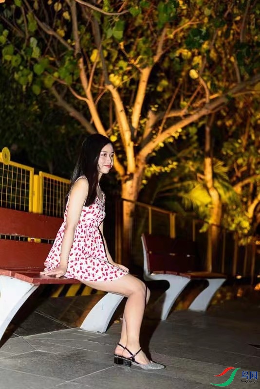 ҹ������