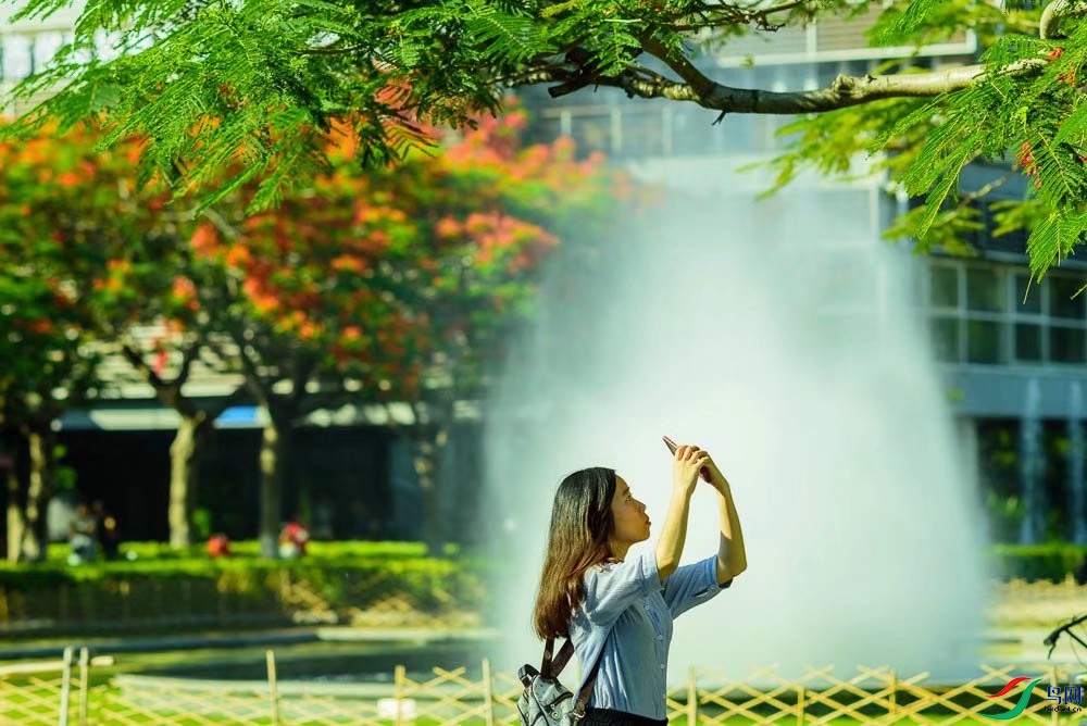 �����ķ�˻�