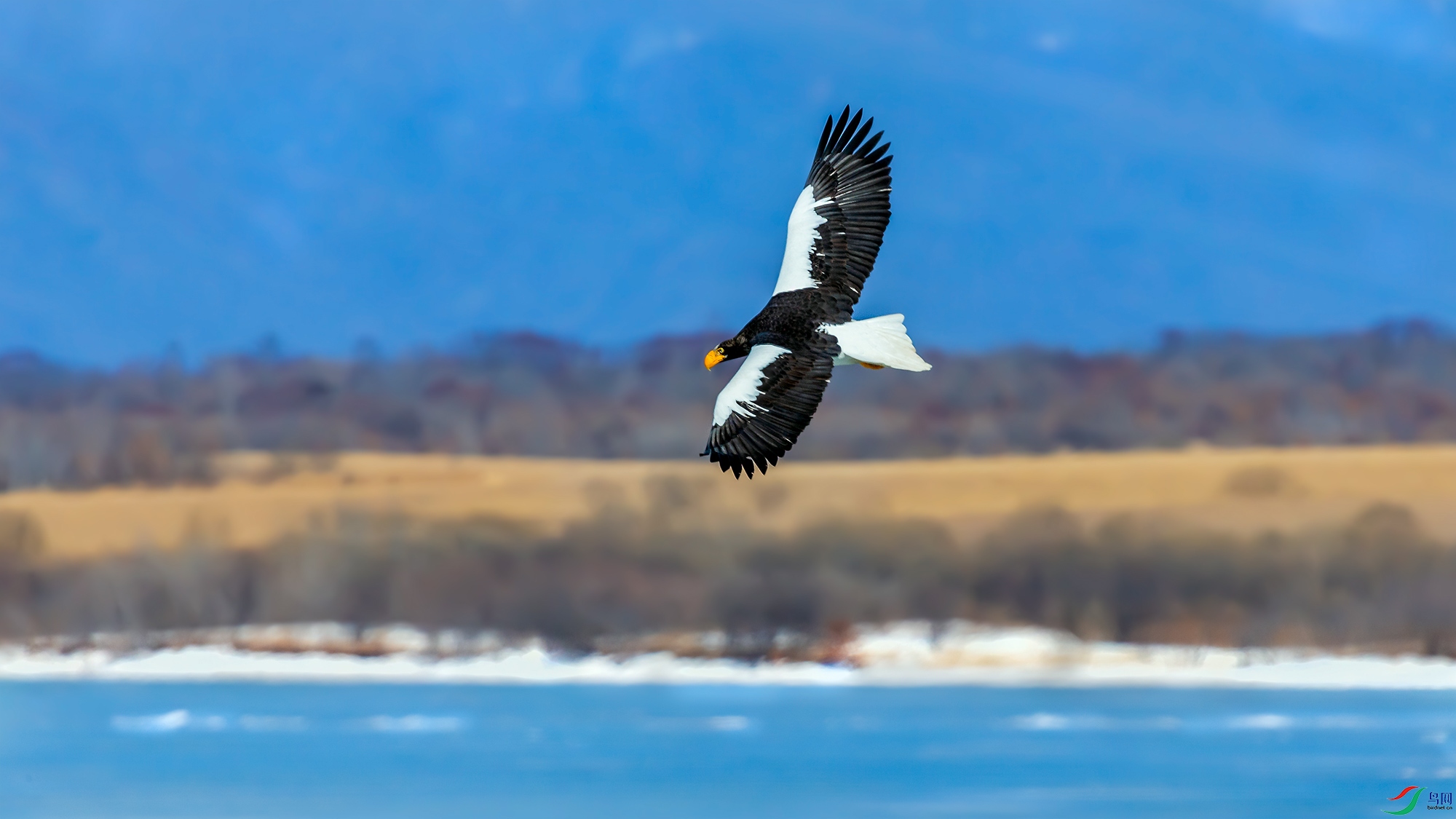 A15J4737_20211123-2.jpg