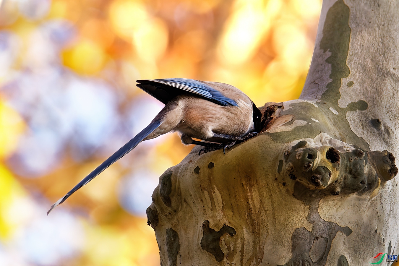 DSC_5687_resize.jpg