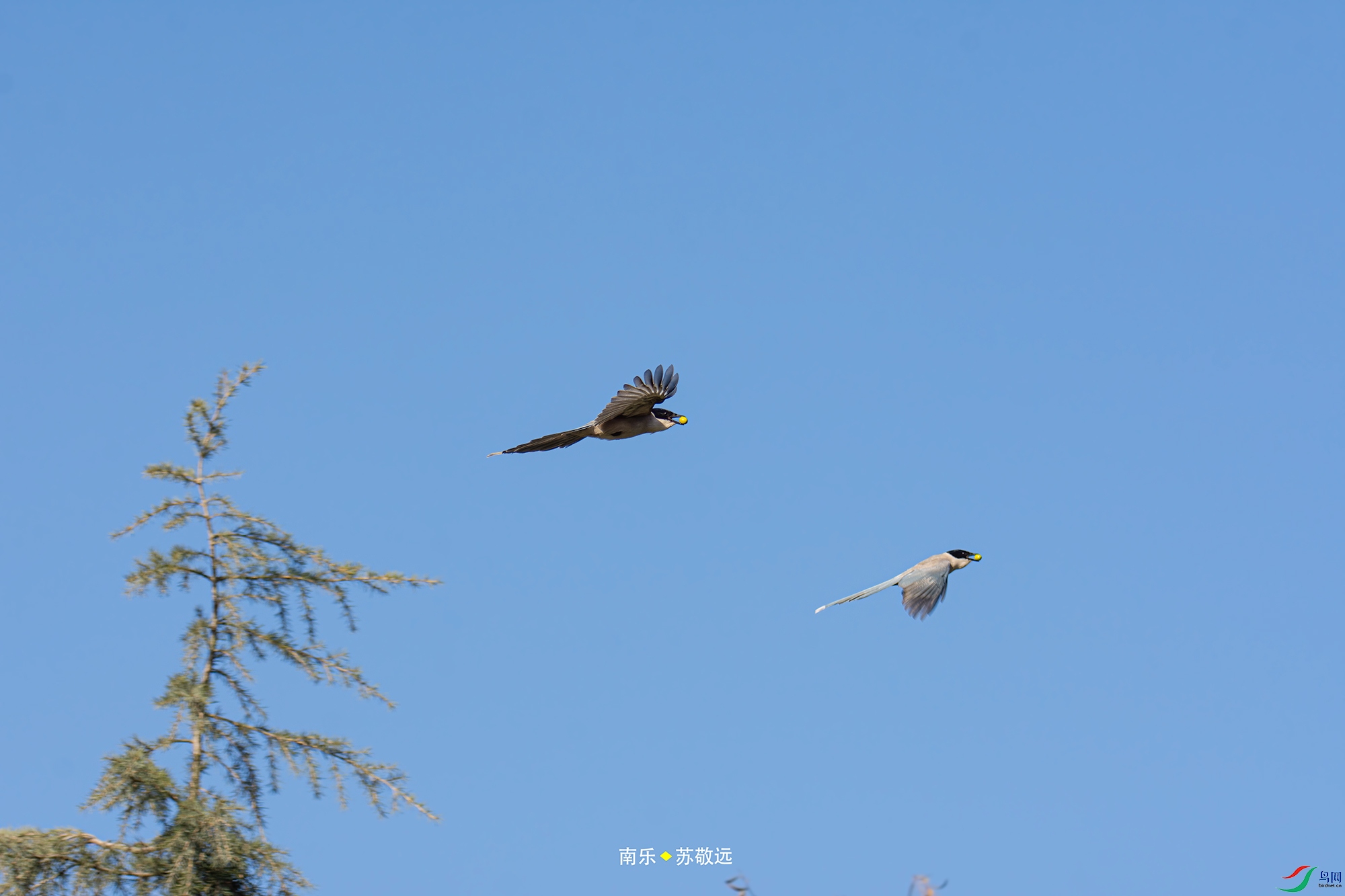 _DSC0844С.jpg