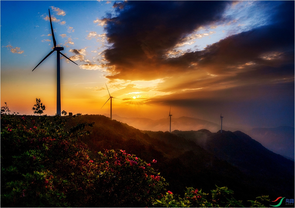 _DSC9485SSSSSS   .jpg