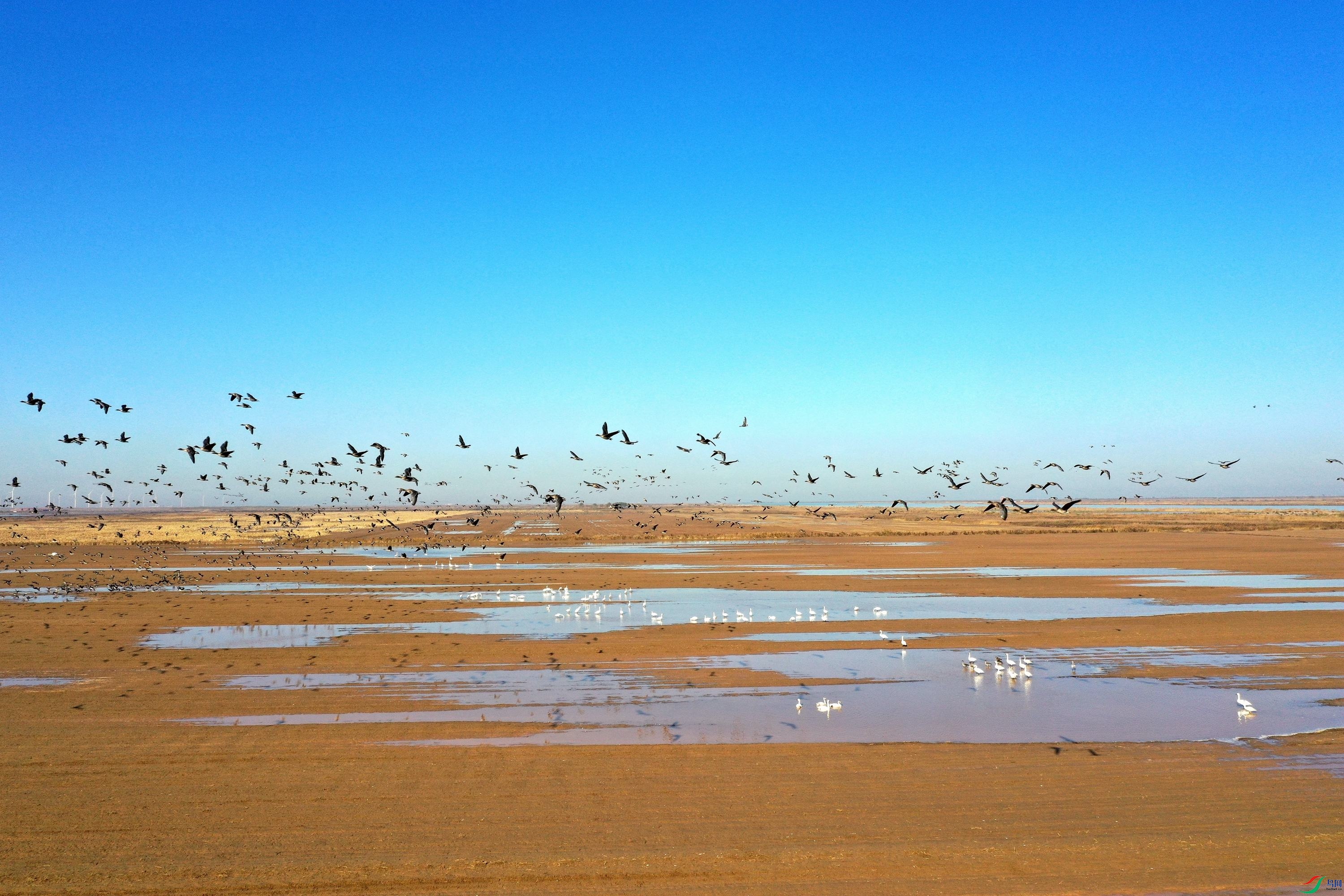 DJI_0060_����.jpg