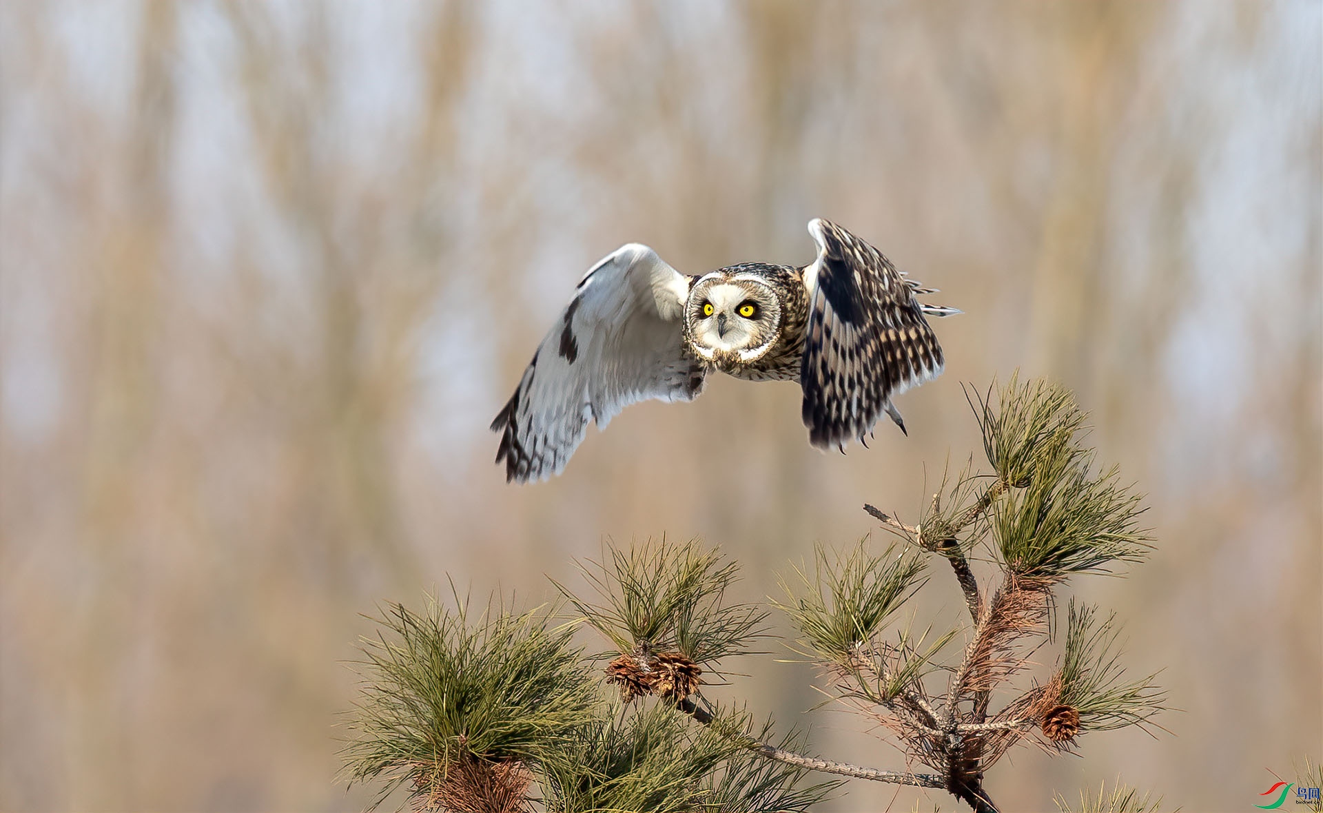 1DX_7864 ����.jpg