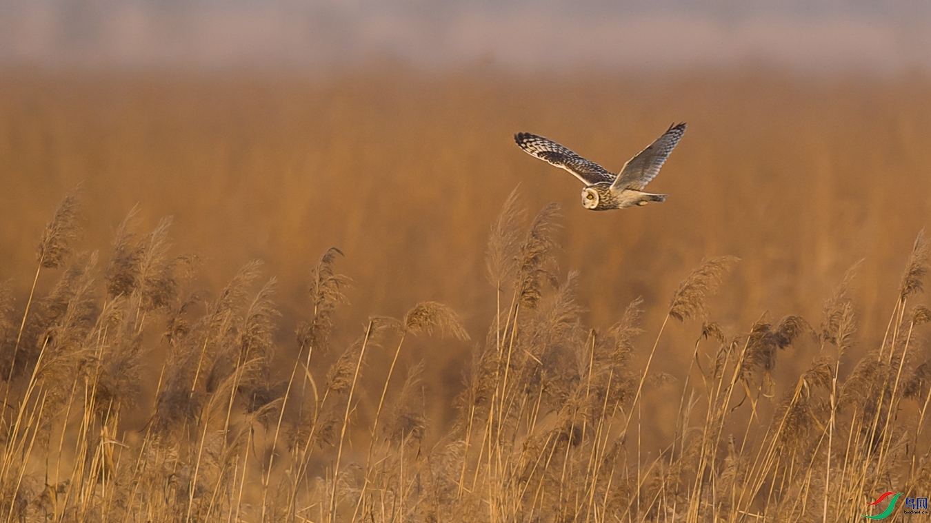 DSC1_1713 - ����.jpg