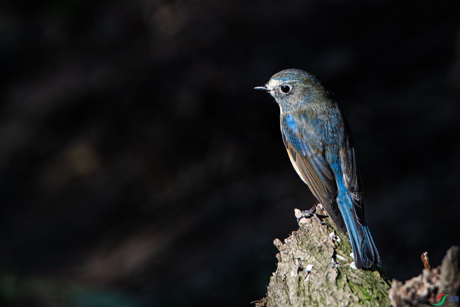 DSC_8690-2.jpg