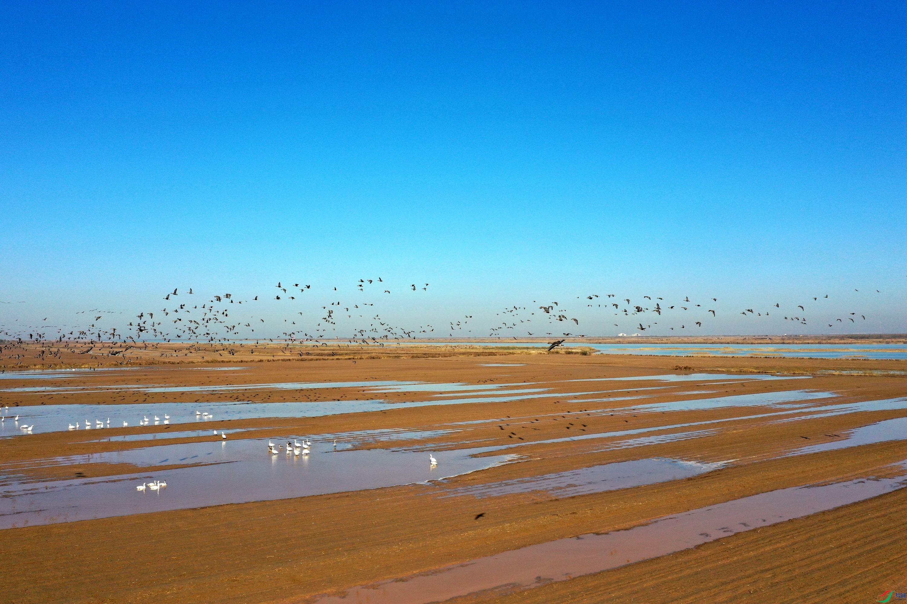 DJI_0059_����.jpg