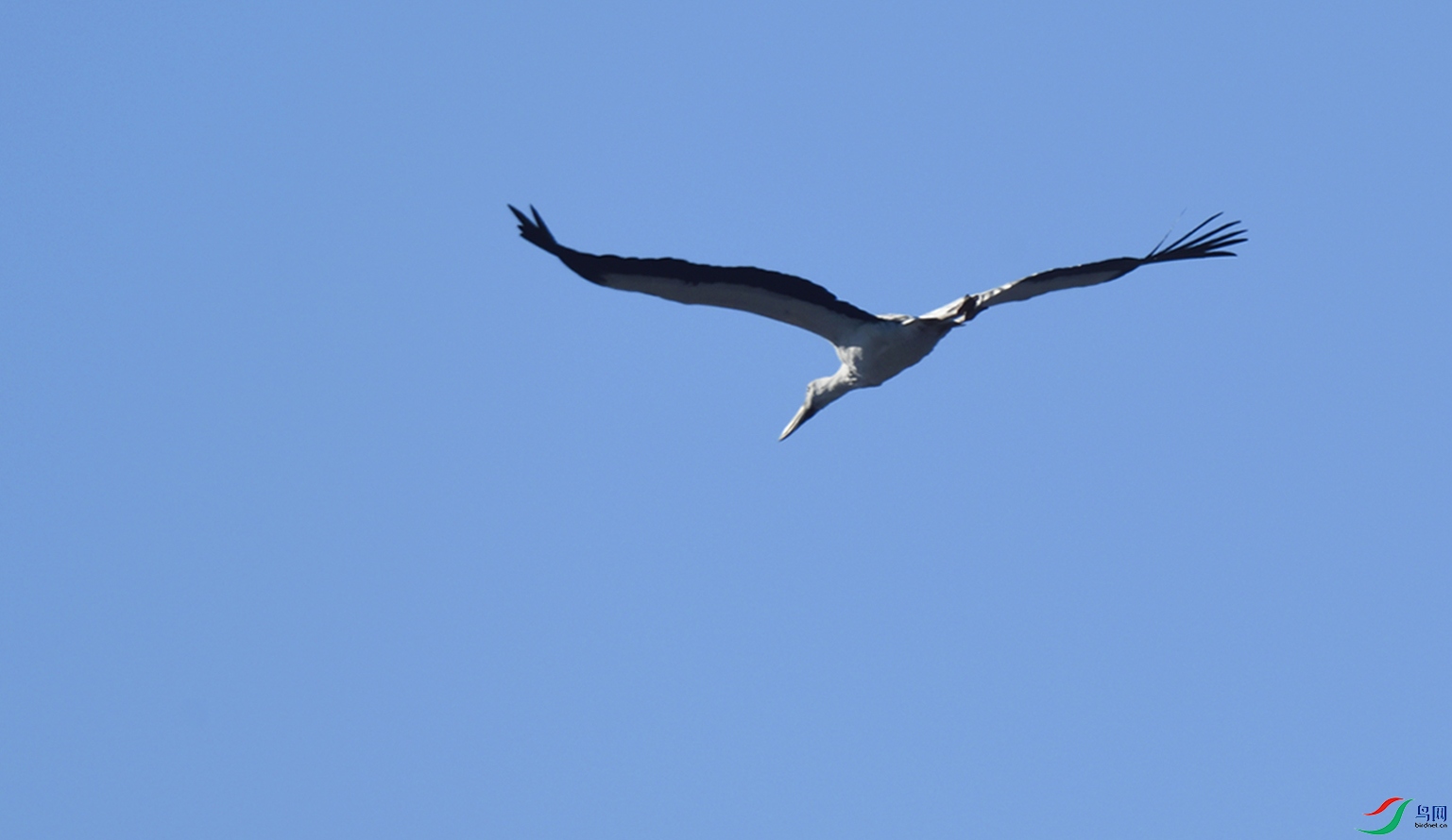 _DSC3884_00001-01-p-2.jpg
