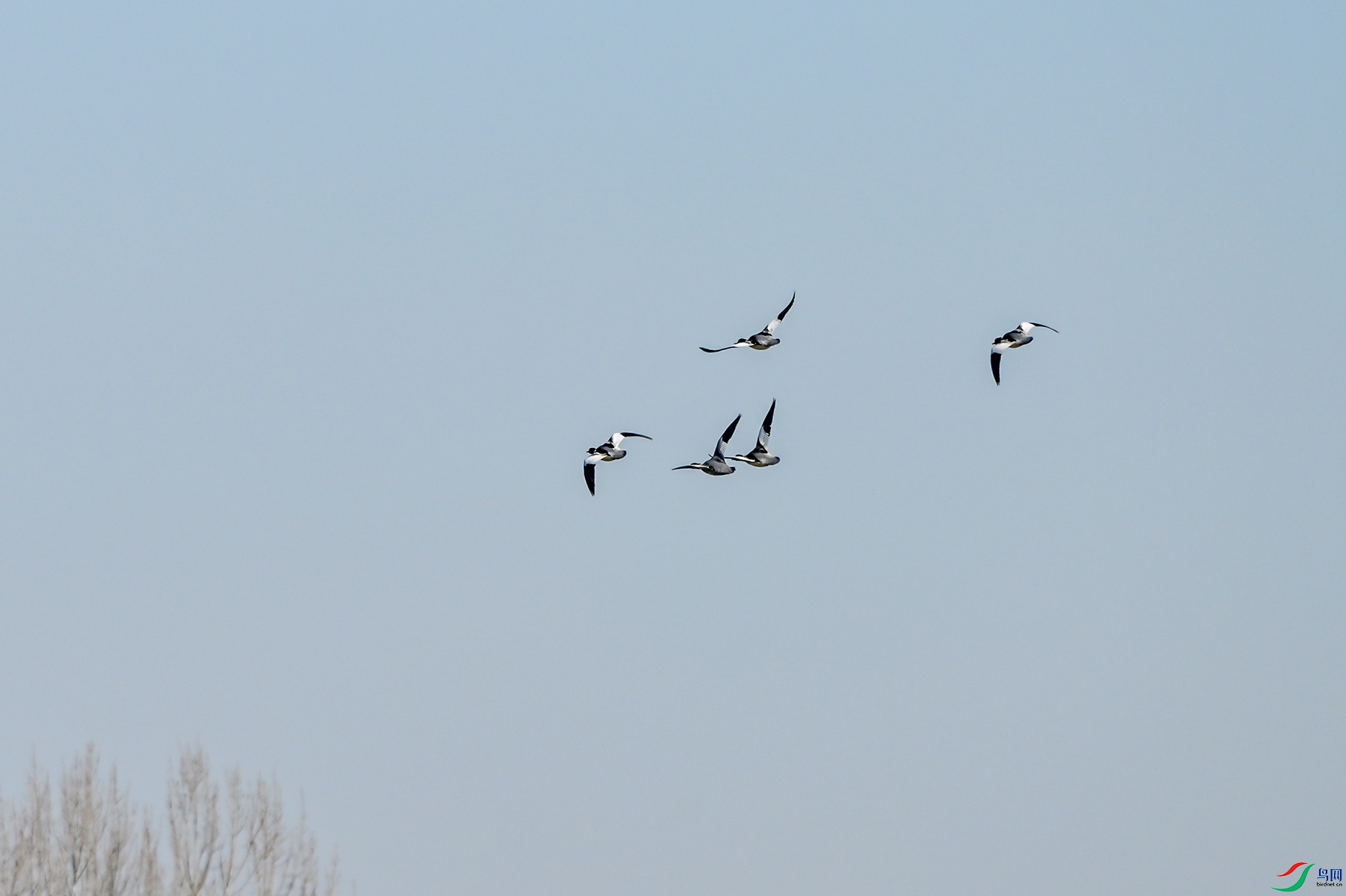 DSC_0262.jpg