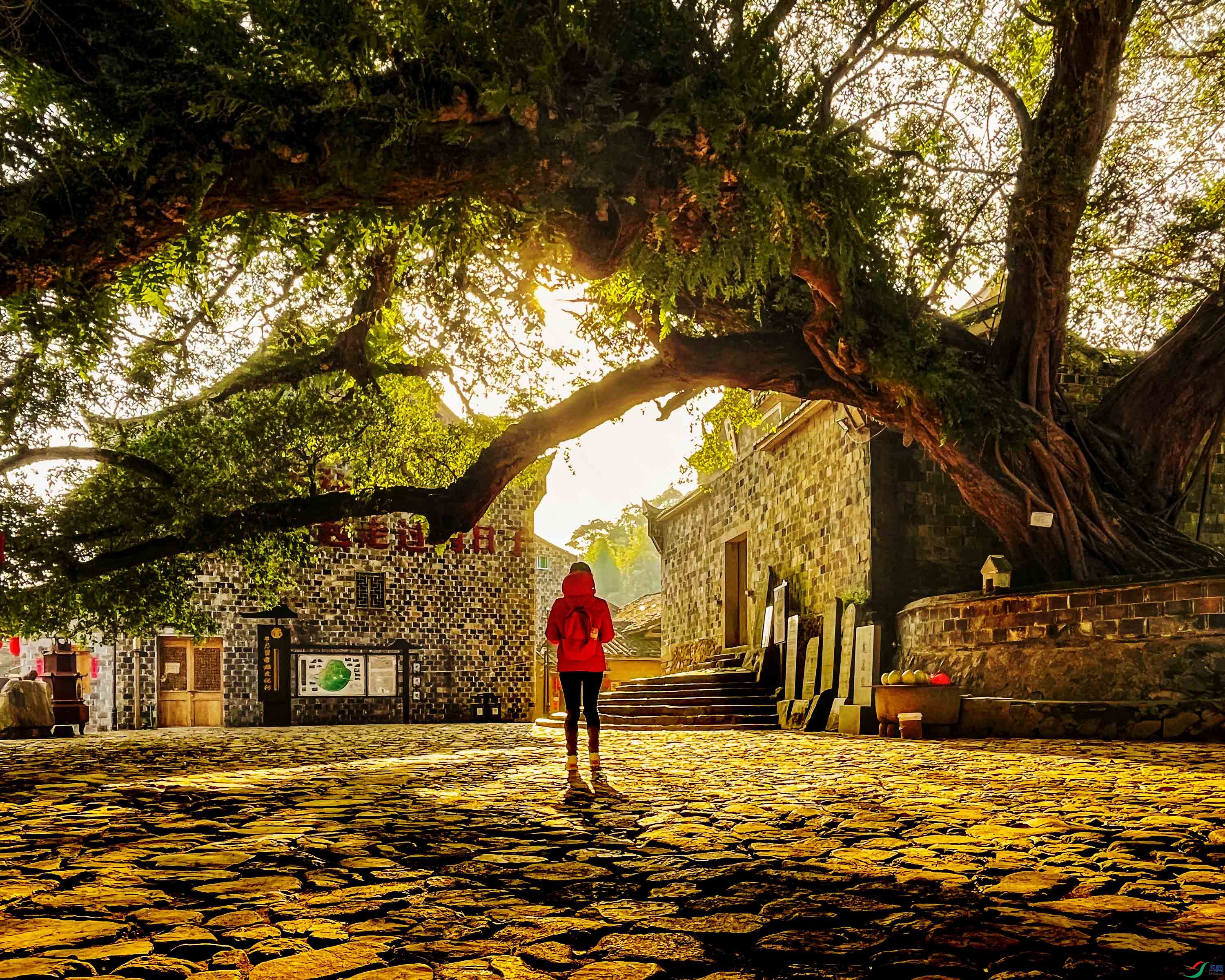 ΢��ͼƬ_20211124090205 ����.jpg