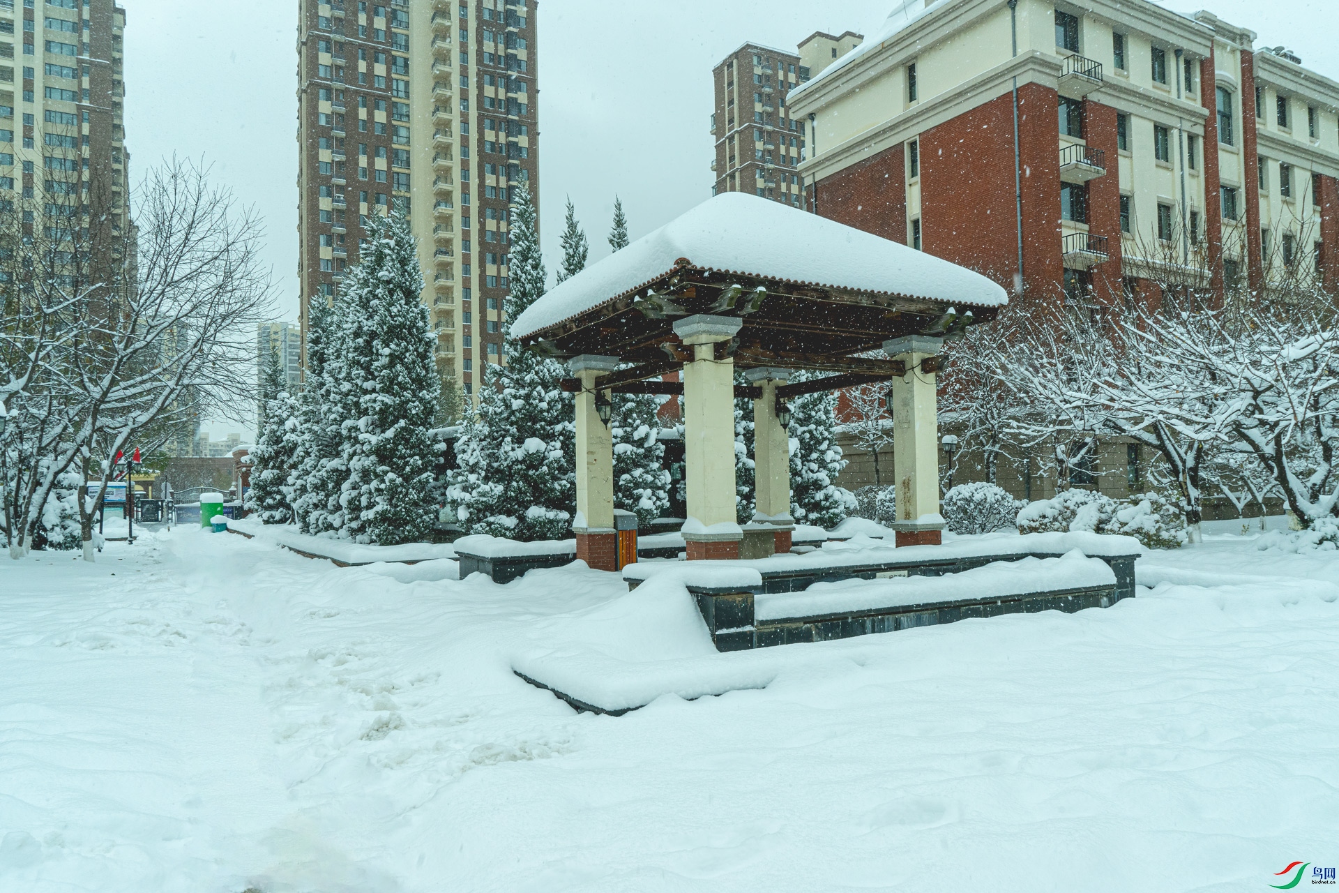 ѩ���԰DSC06114.jpg