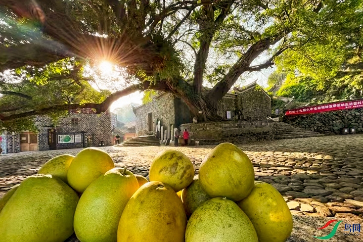 ΢��ͼƬ_20211124090144 ����.jpg