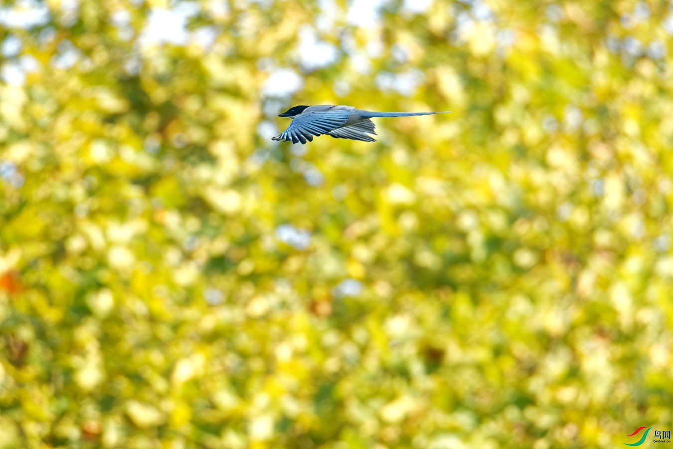 DSC_4448_resize.jpg