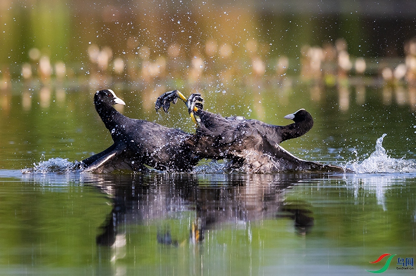 �����ʹ�