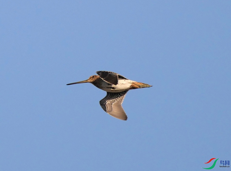 P7650730 - ����.JPG