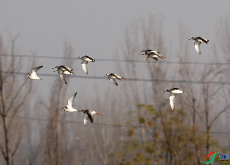 P7650964 - ����.JPG