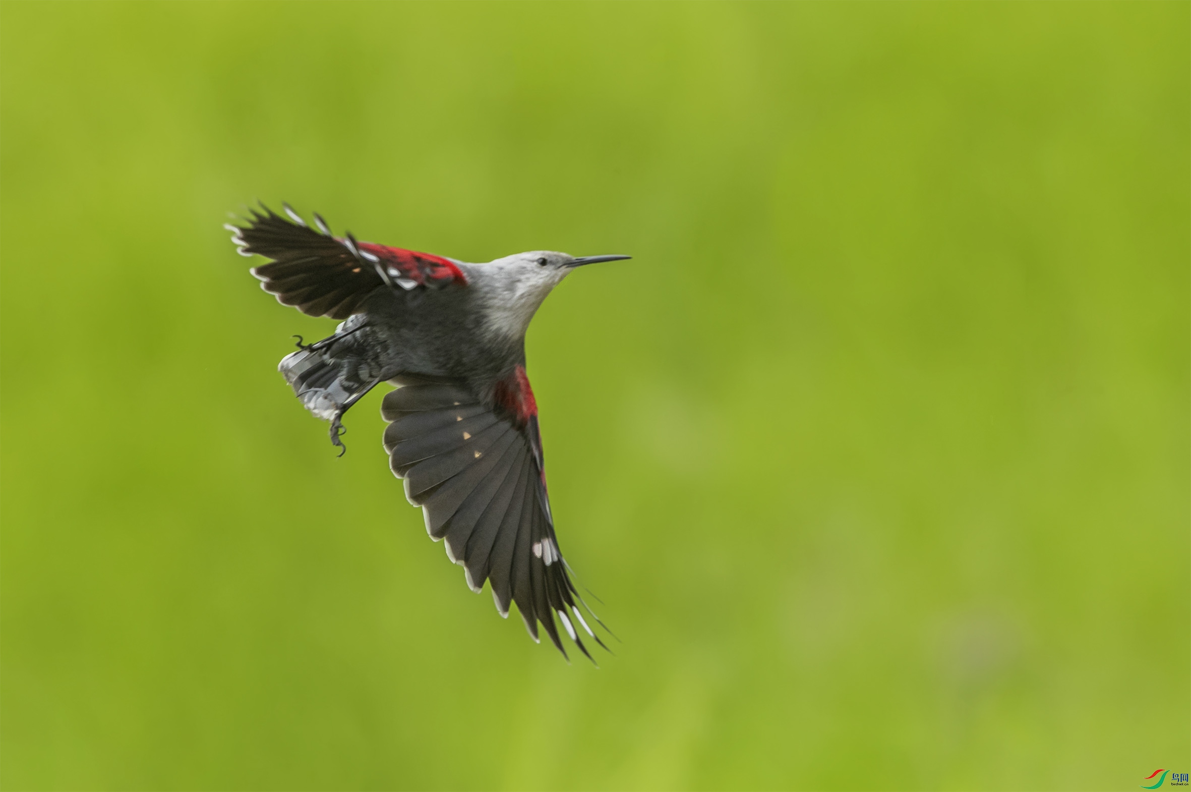 BT1I5375-1-- (4).jpg