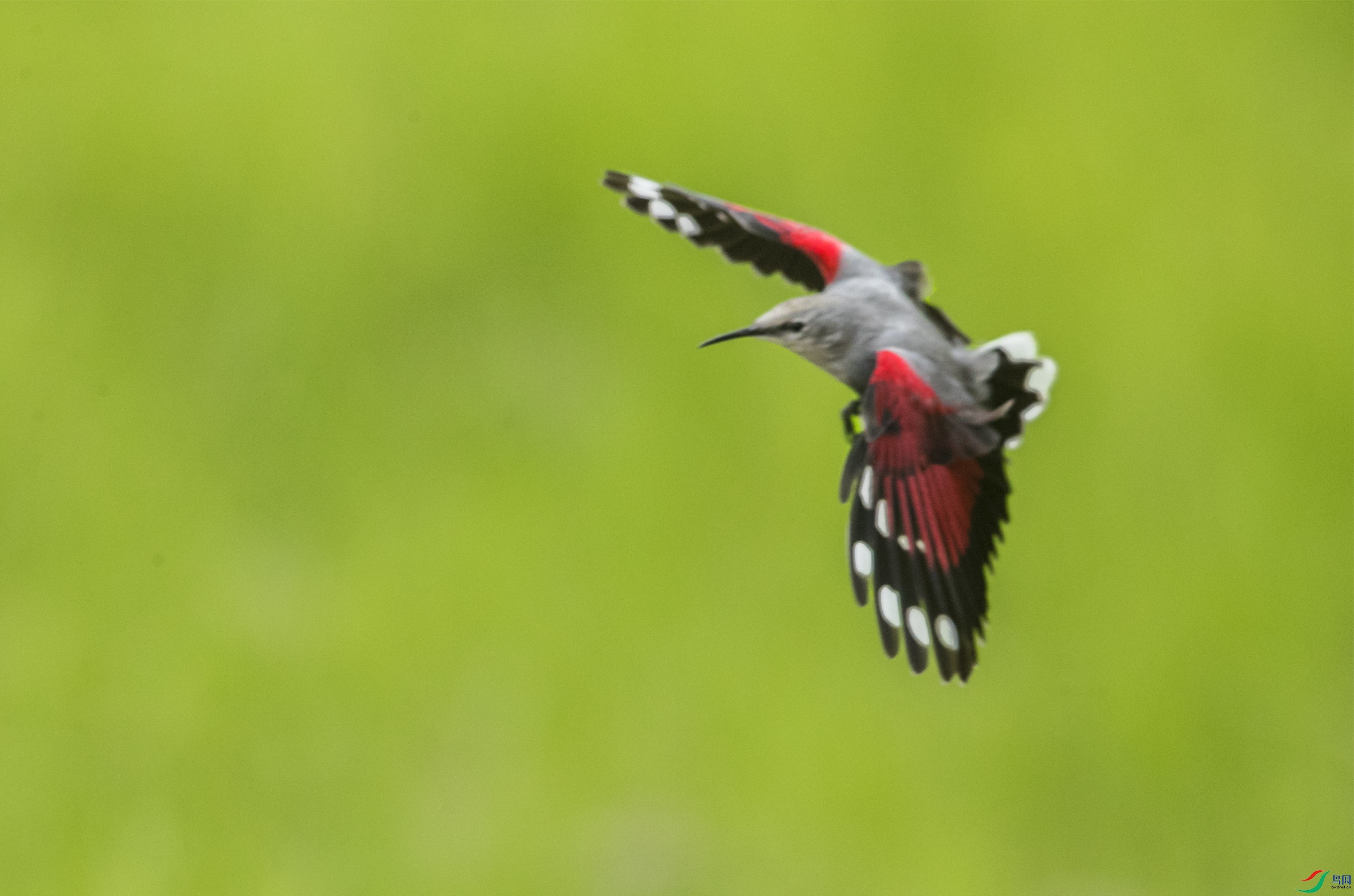 BT1I5375-1-- (1).jpg