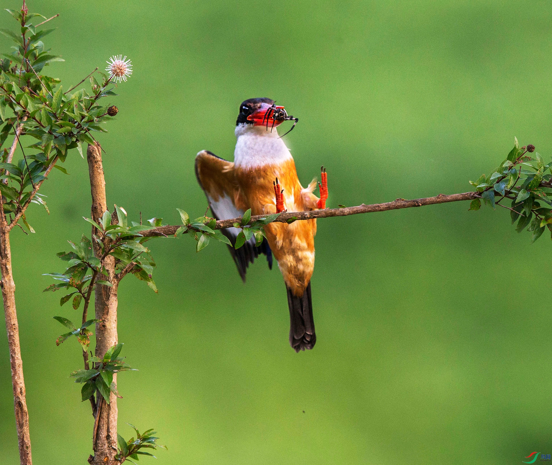 BW4Q8330 - ����.jpg