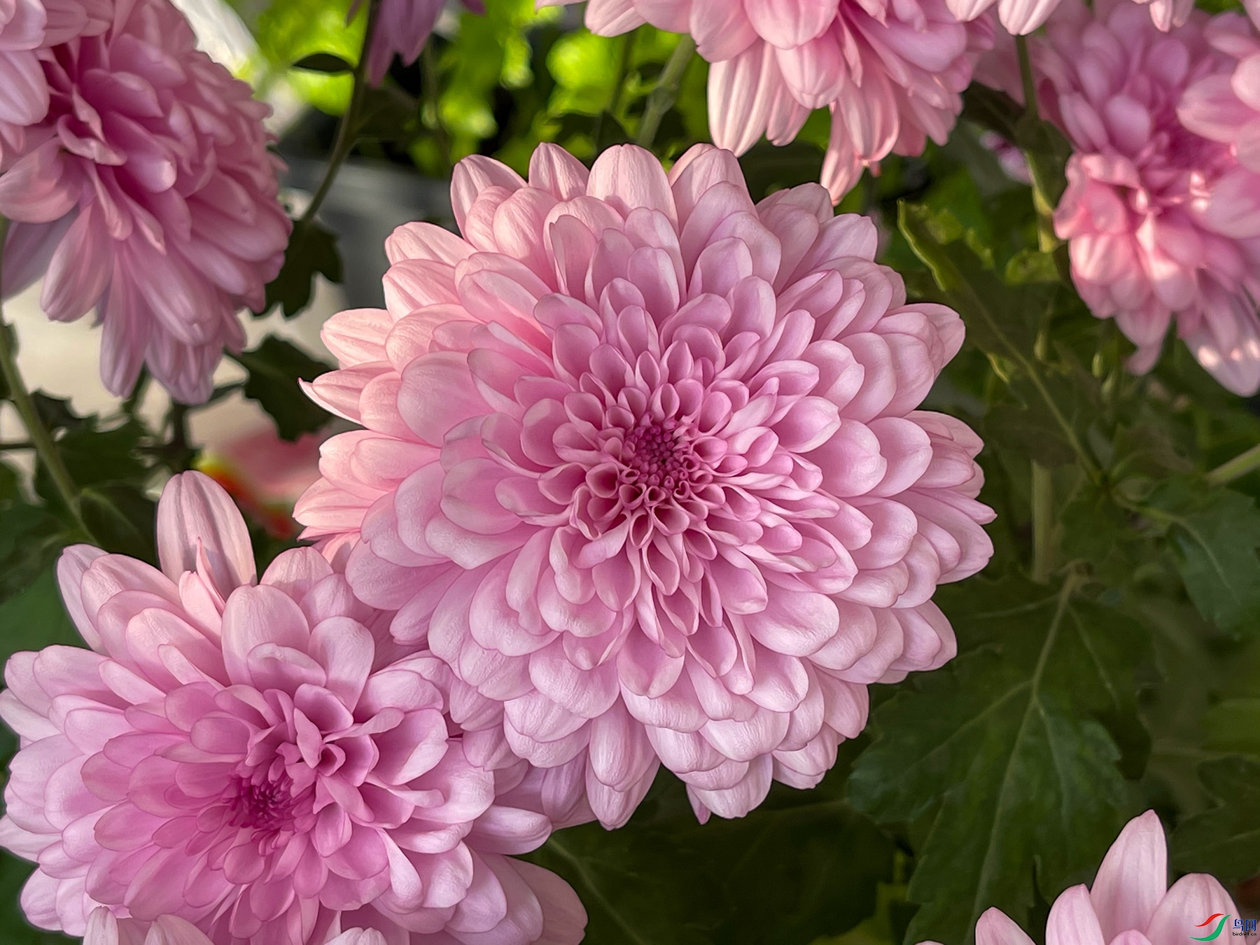 ʢ�����ļ���