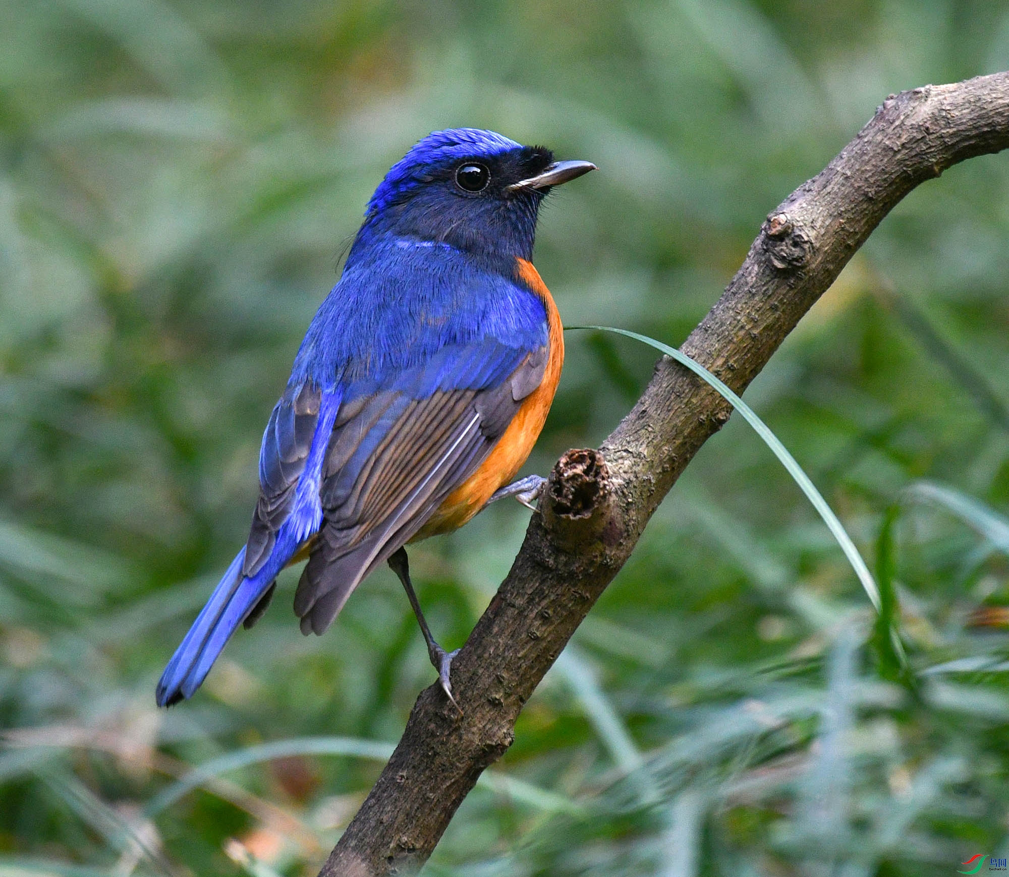 DSC_6076.JPG