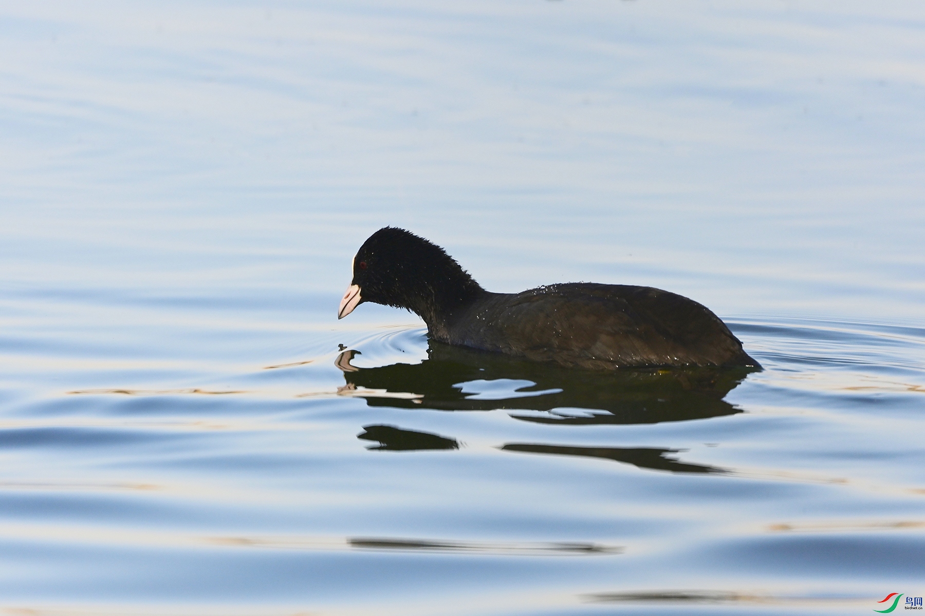 DSC_9135.jpg