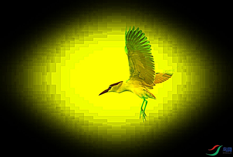 BW6I7947_����_����.jpg