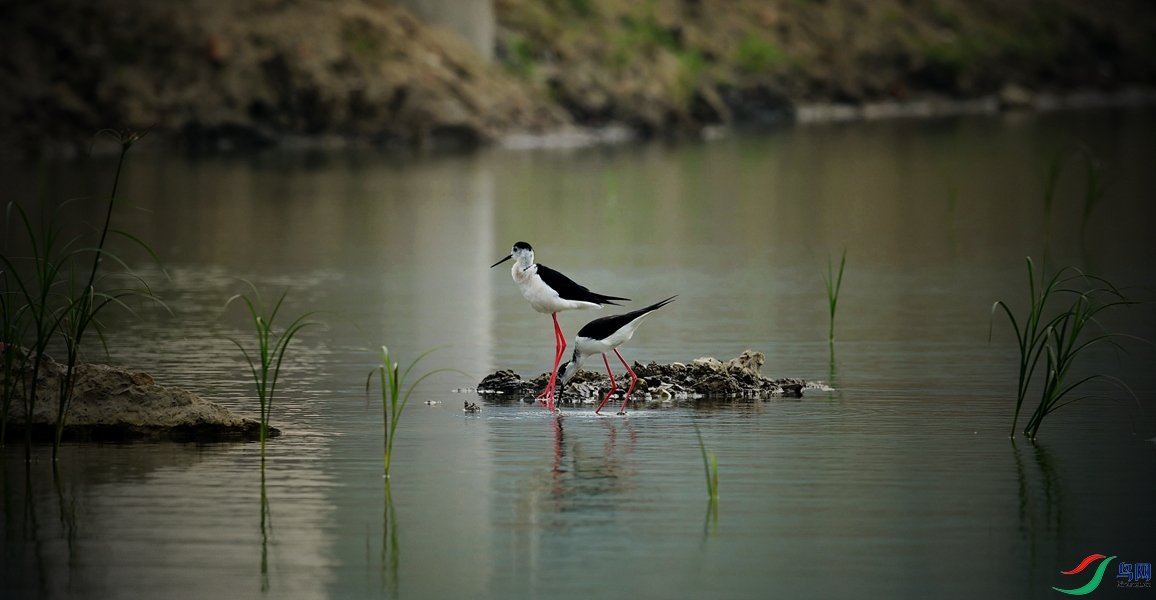 DSC_5996_����.jpg