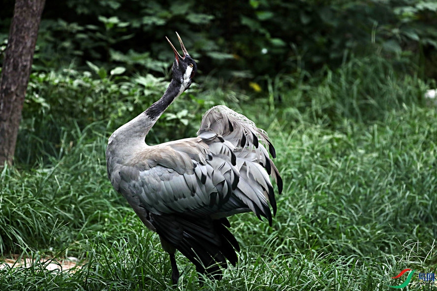 BW6I4725_����_����.jpg