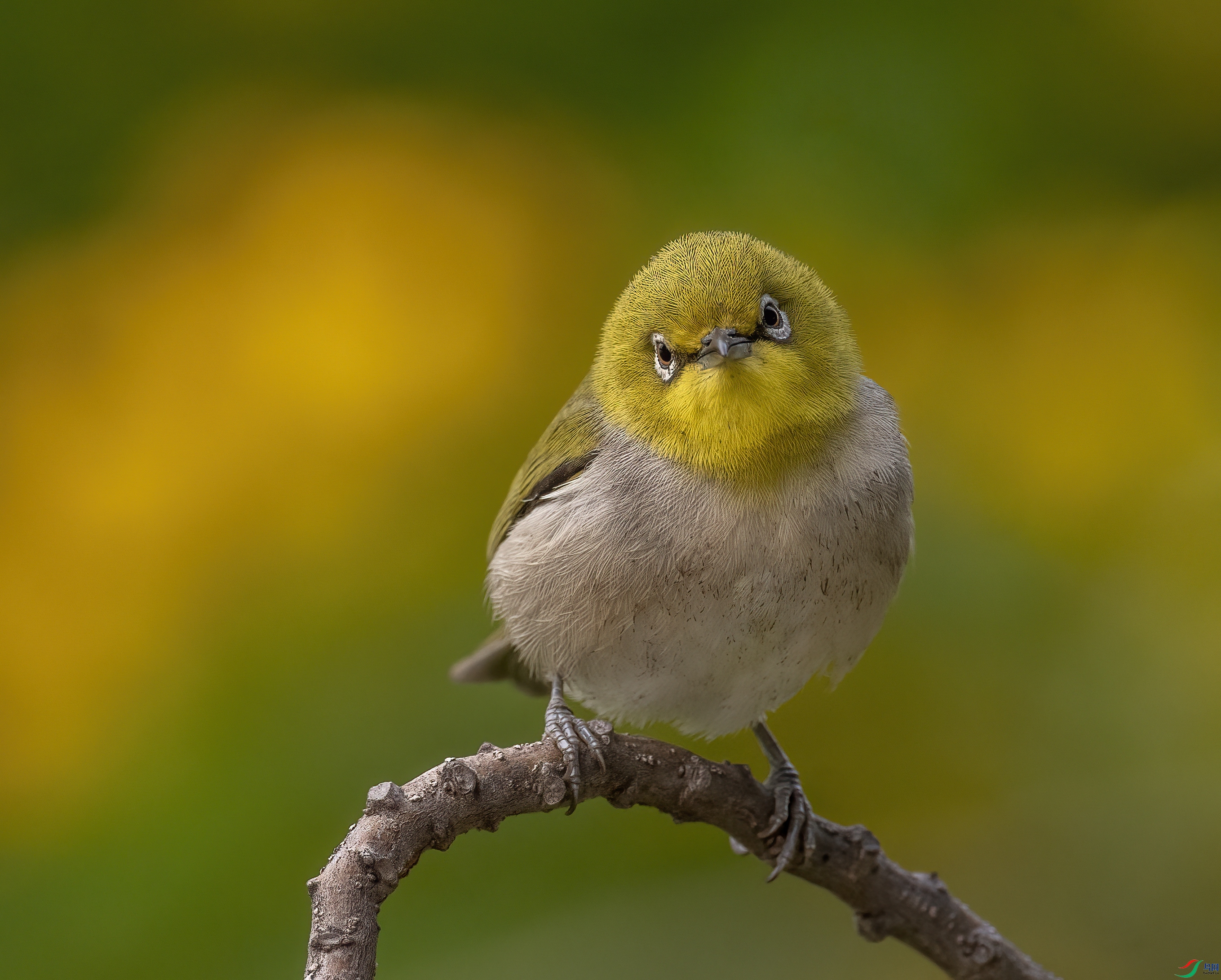 DSC_7546 ����.jpg