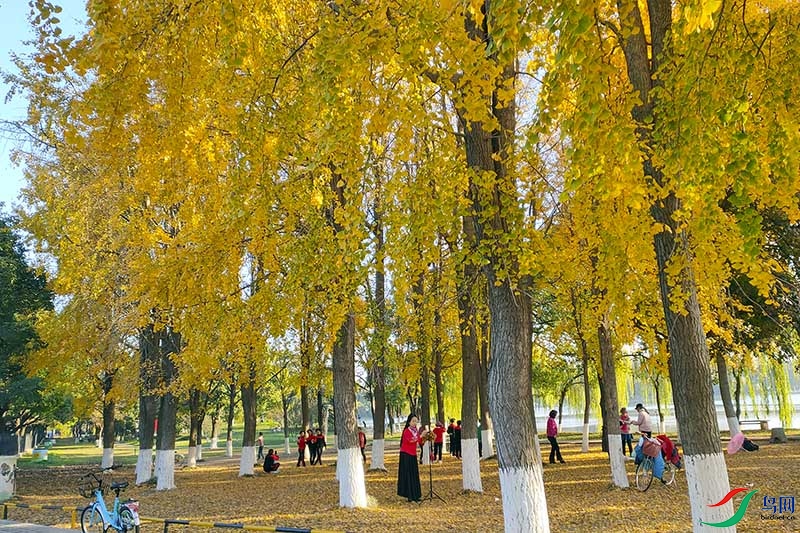 �������� (2).jpg