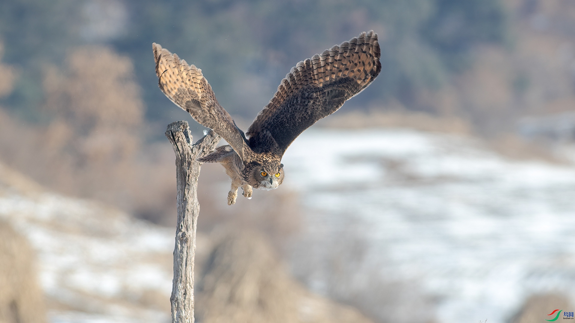 1DX_8781 ���� 2.jpg