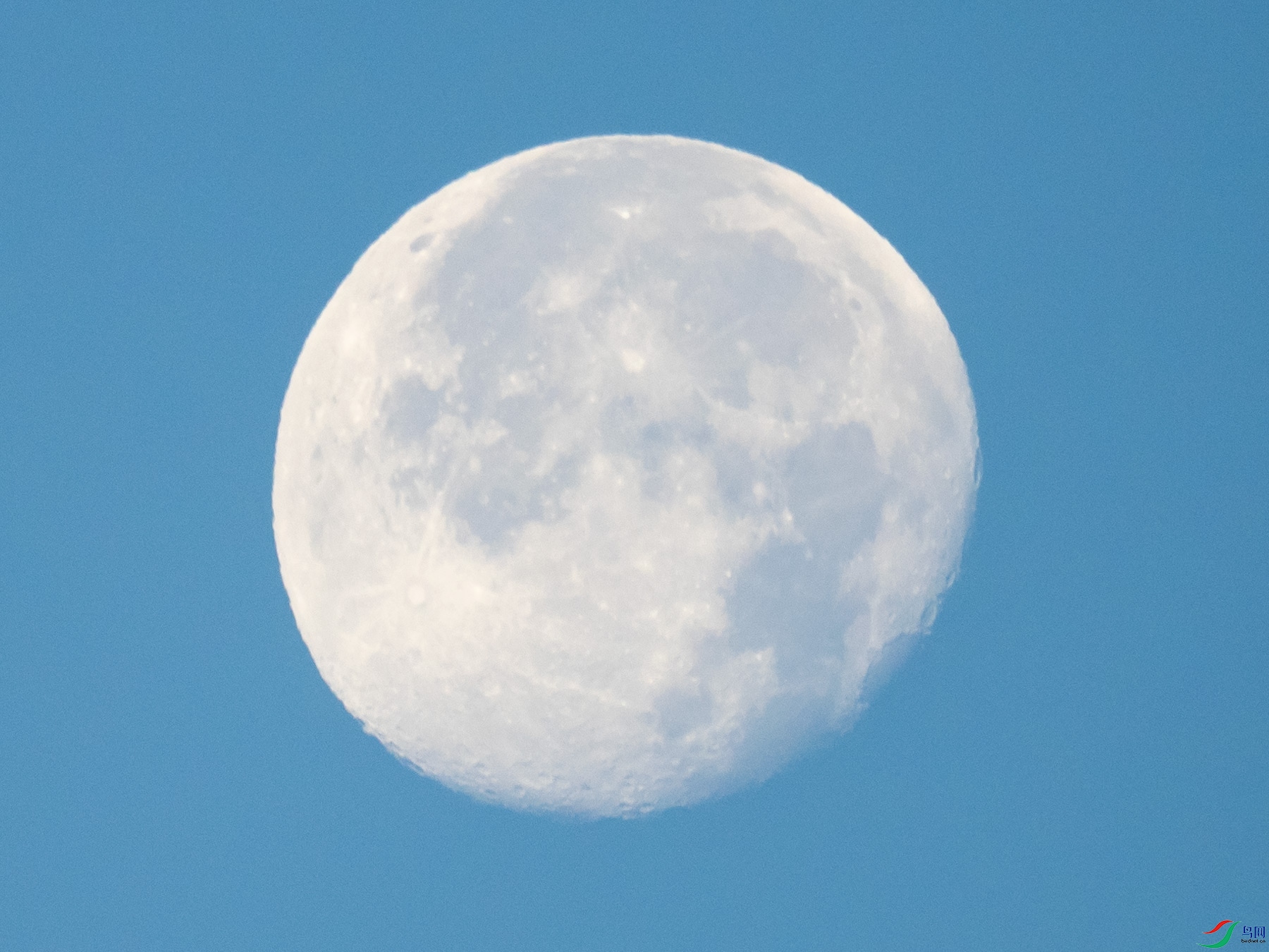 ũ��ʮ�����������